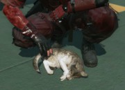 Metal Gear Solid V: The Phantom Pain