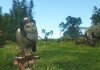 ArcheAge thumbnail