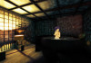 Shadow Warrior