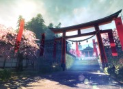Shadow Warrior