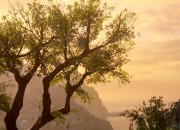 Uncharted 4: A Thief's End