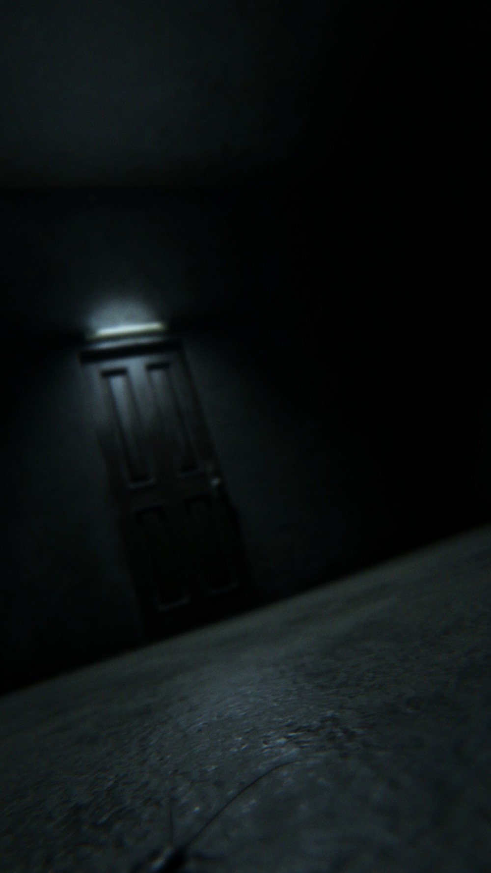 P.T. Demo