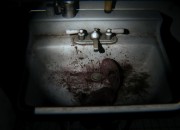 P.T. Demo