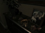P.T. Demo