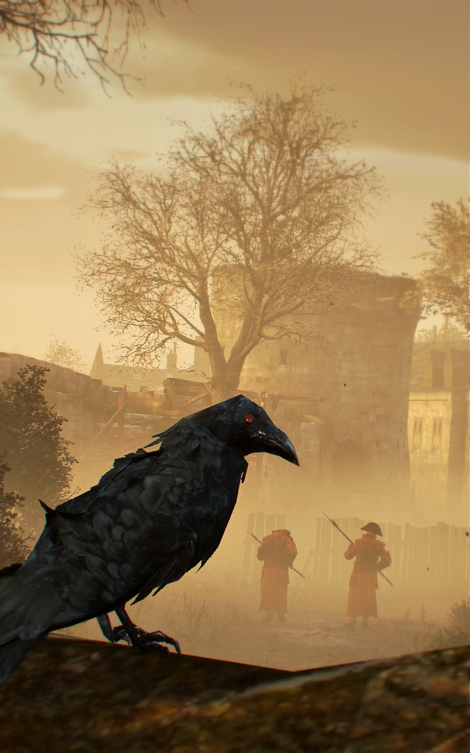 Assassin's Creed: Unity