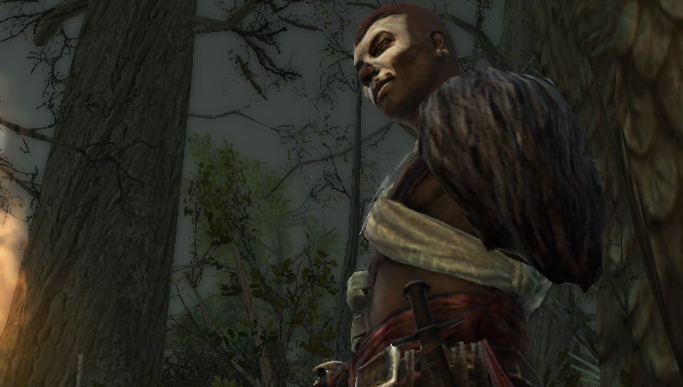 Assassin's Creed III: Liberation