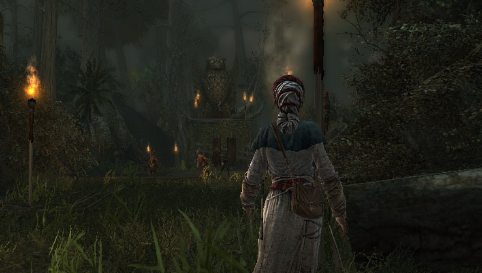 Assassin's Creed III: Liberation