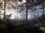 The Vanishing of Ethan Carter