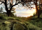 The Vanishing of Ethan Carter