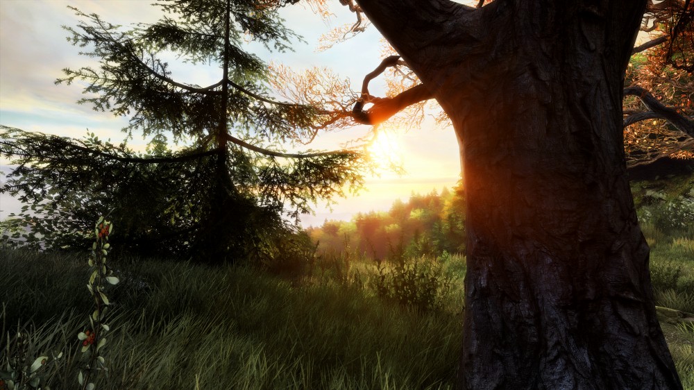 The Vanishing of Ethan Carter