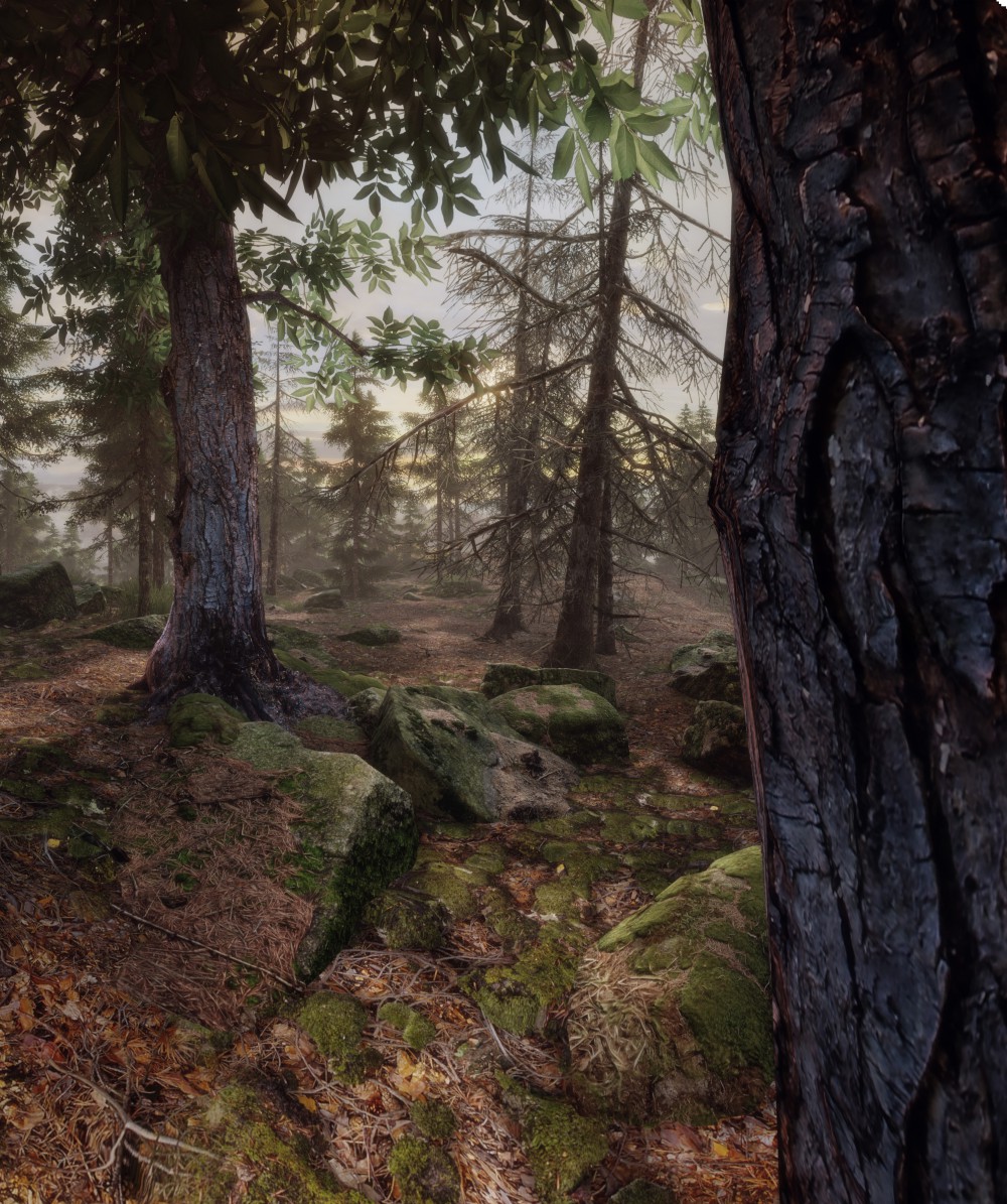 The Vanishing of Ethan Carter