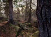 The Vanishing of Ethan Carter