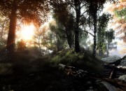 The Vanishing of Ethan Carter