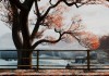 The Vanishing of Ethan Carter