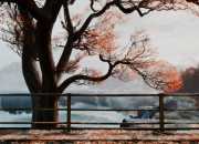 The Vanishing of Ethan Carter screenshot