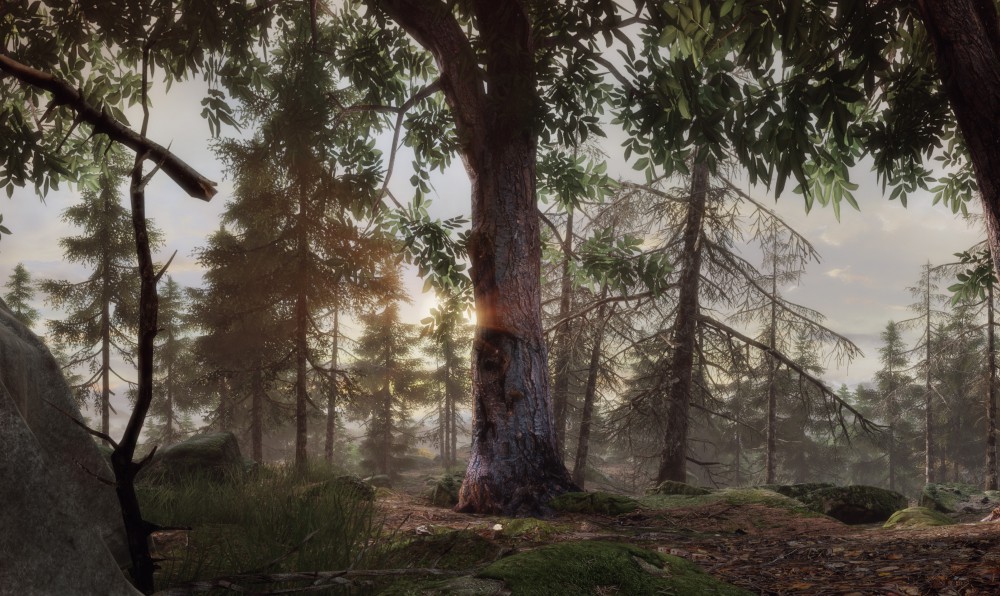 The Vanishing of Ethan Carter