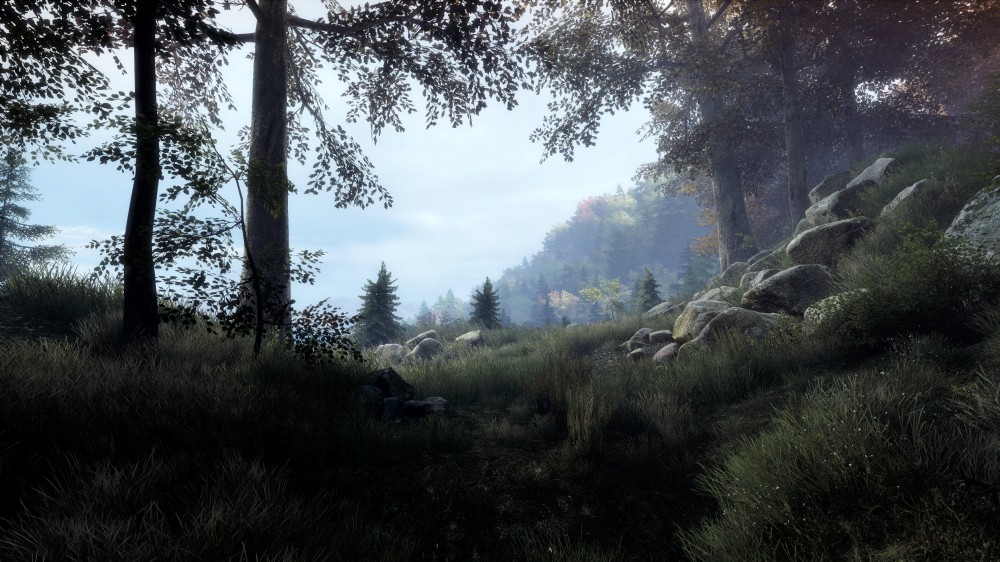 The Vanishing of Ethan Carter