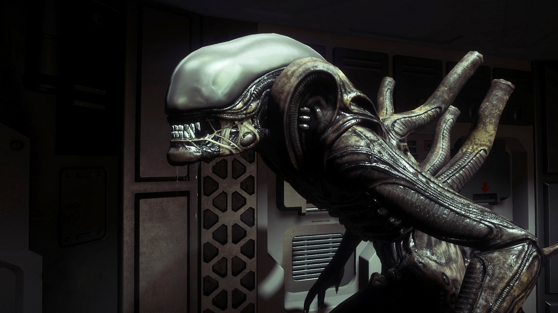 Aliens isolation steam фото 43