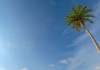 The Talos Principle