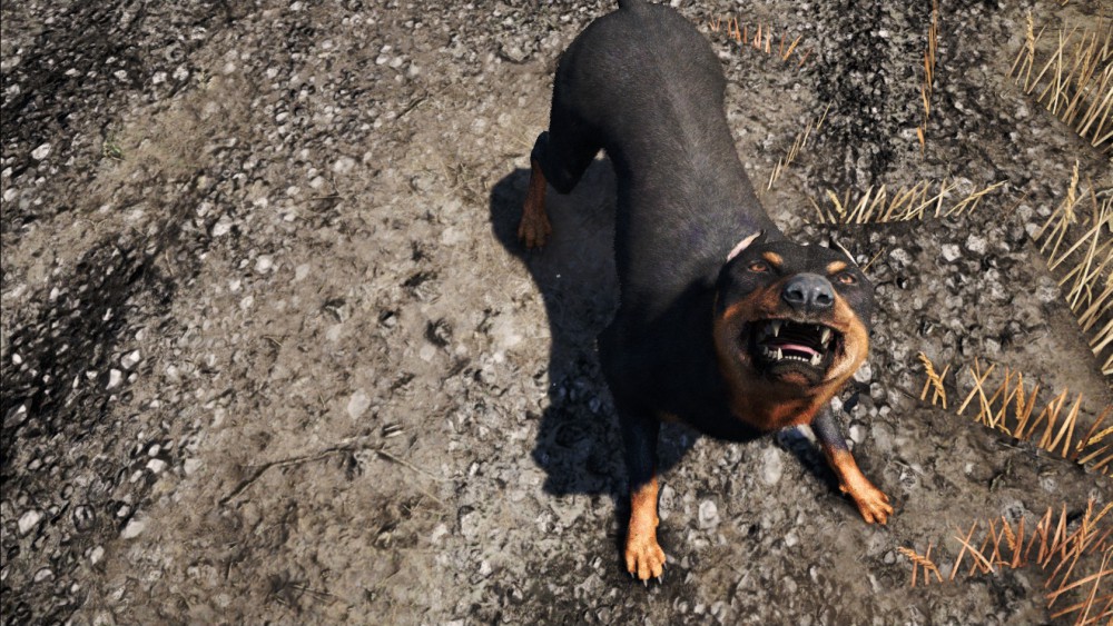 Far Cry 4
