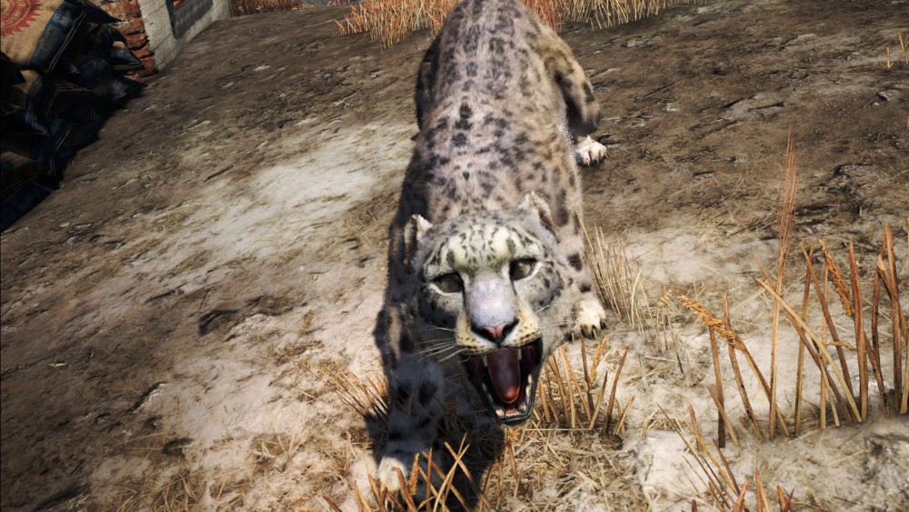 Far Cry 4