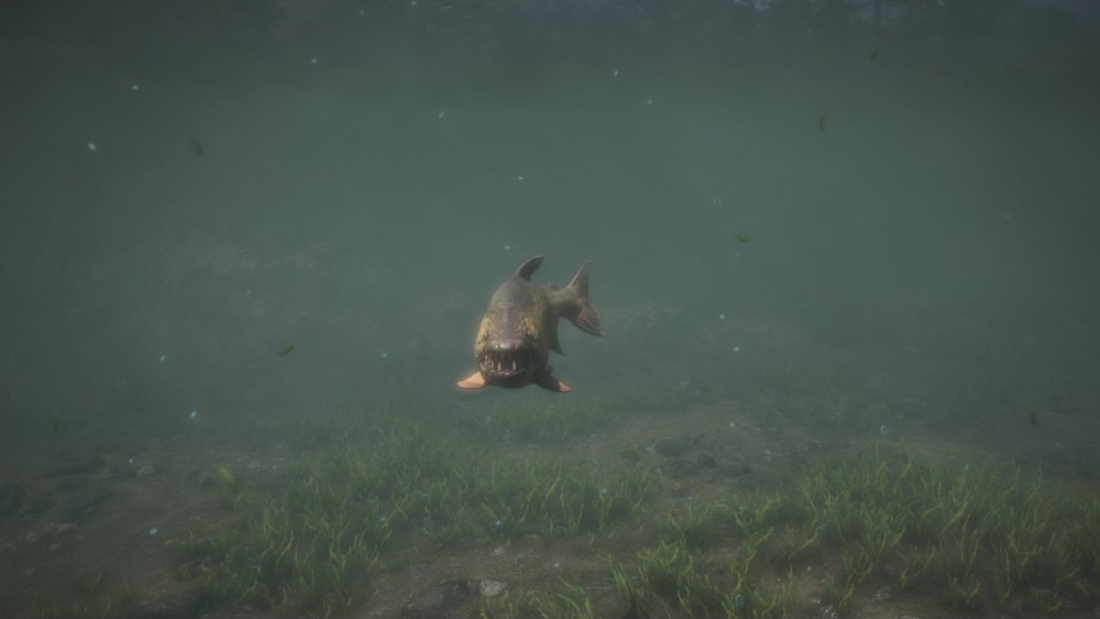 Far Cry 4
