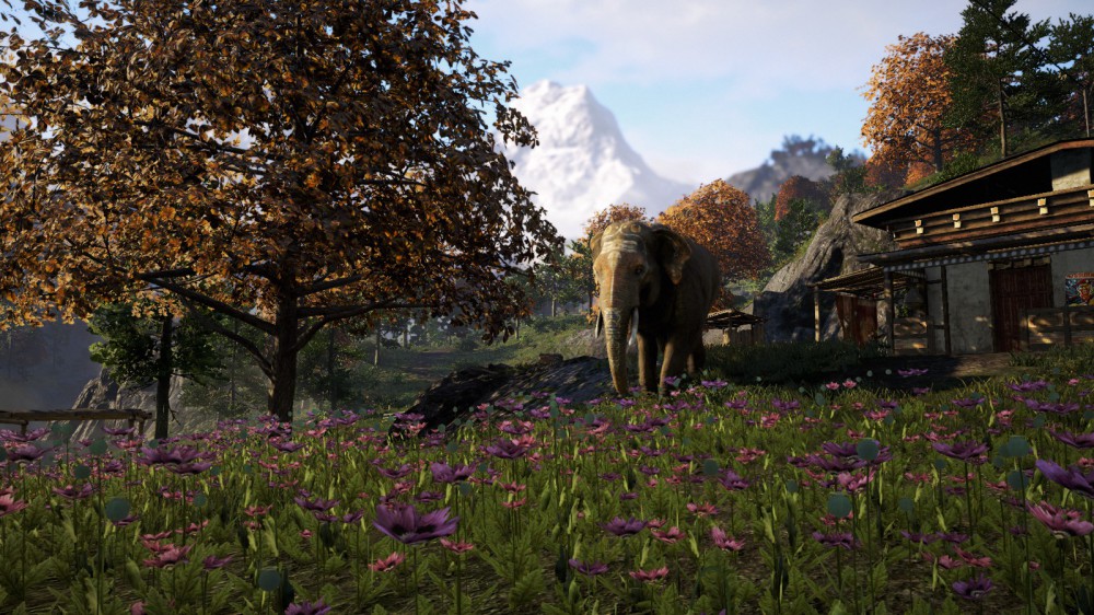 Far Cry 4