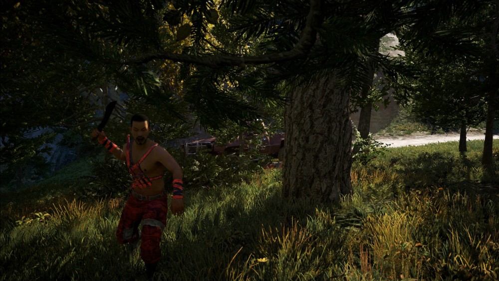 Far Cry 4