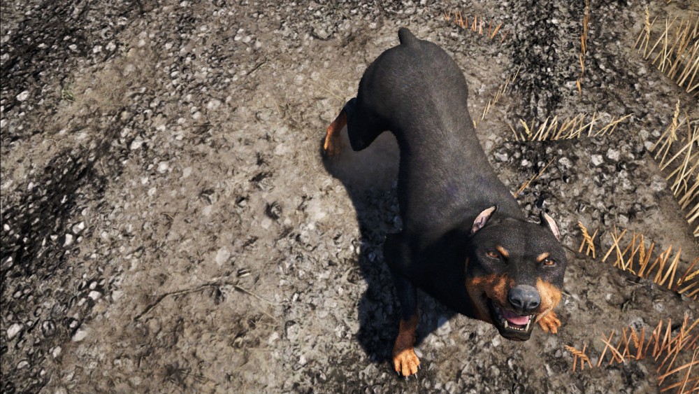 Far Cry 4