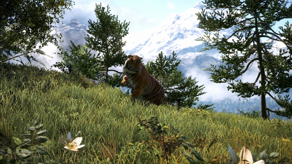 Far Cry 4