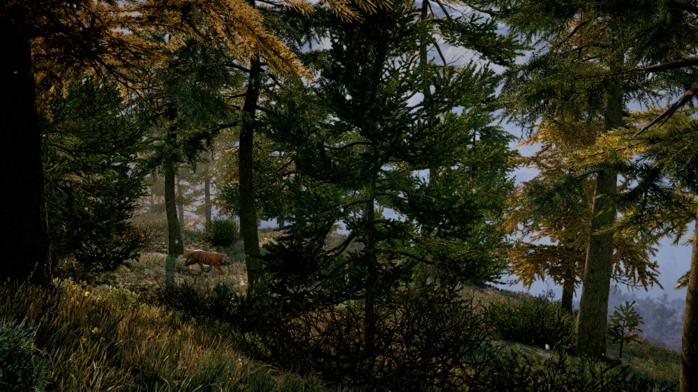 Far Cry 4