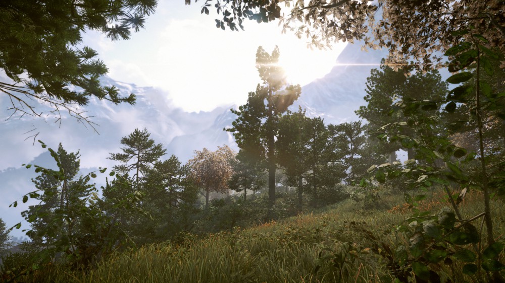 Far Cry 4