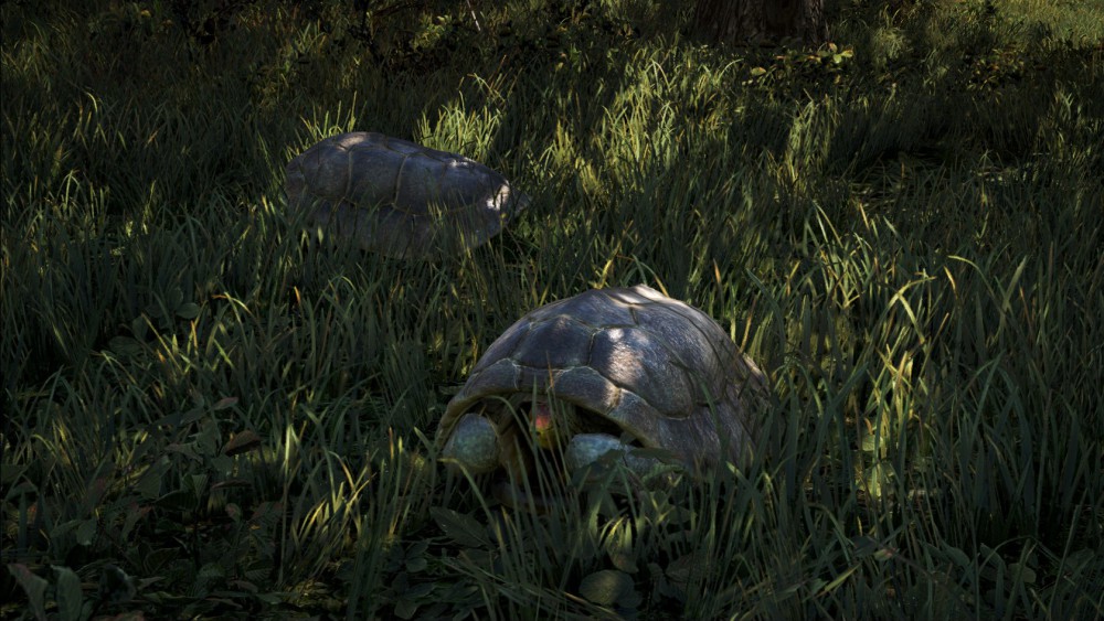 Far Cry 4