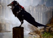 Dragon Age screenshot
