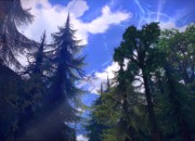 TERA