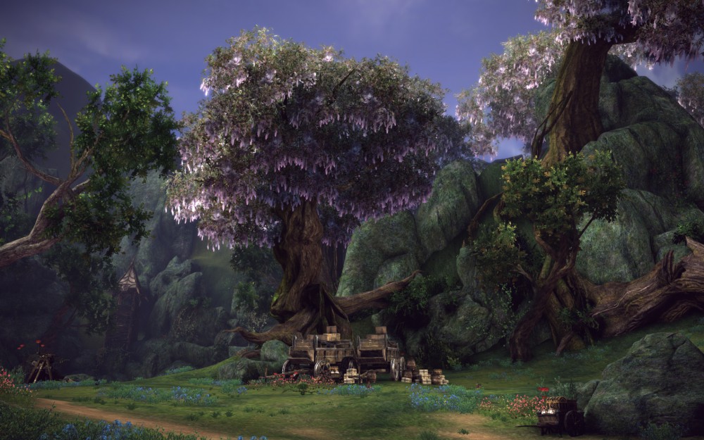 TERA