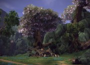 TERA