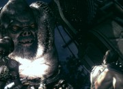Resident Evil 5 screenshot