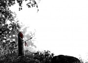 Betrayer