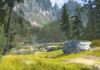 Skyforge