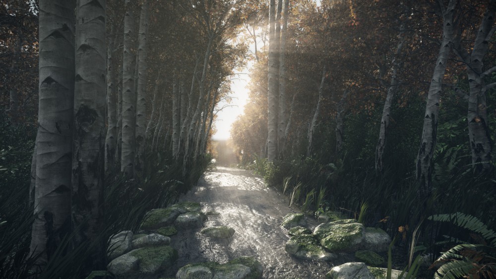 The Lost Valley