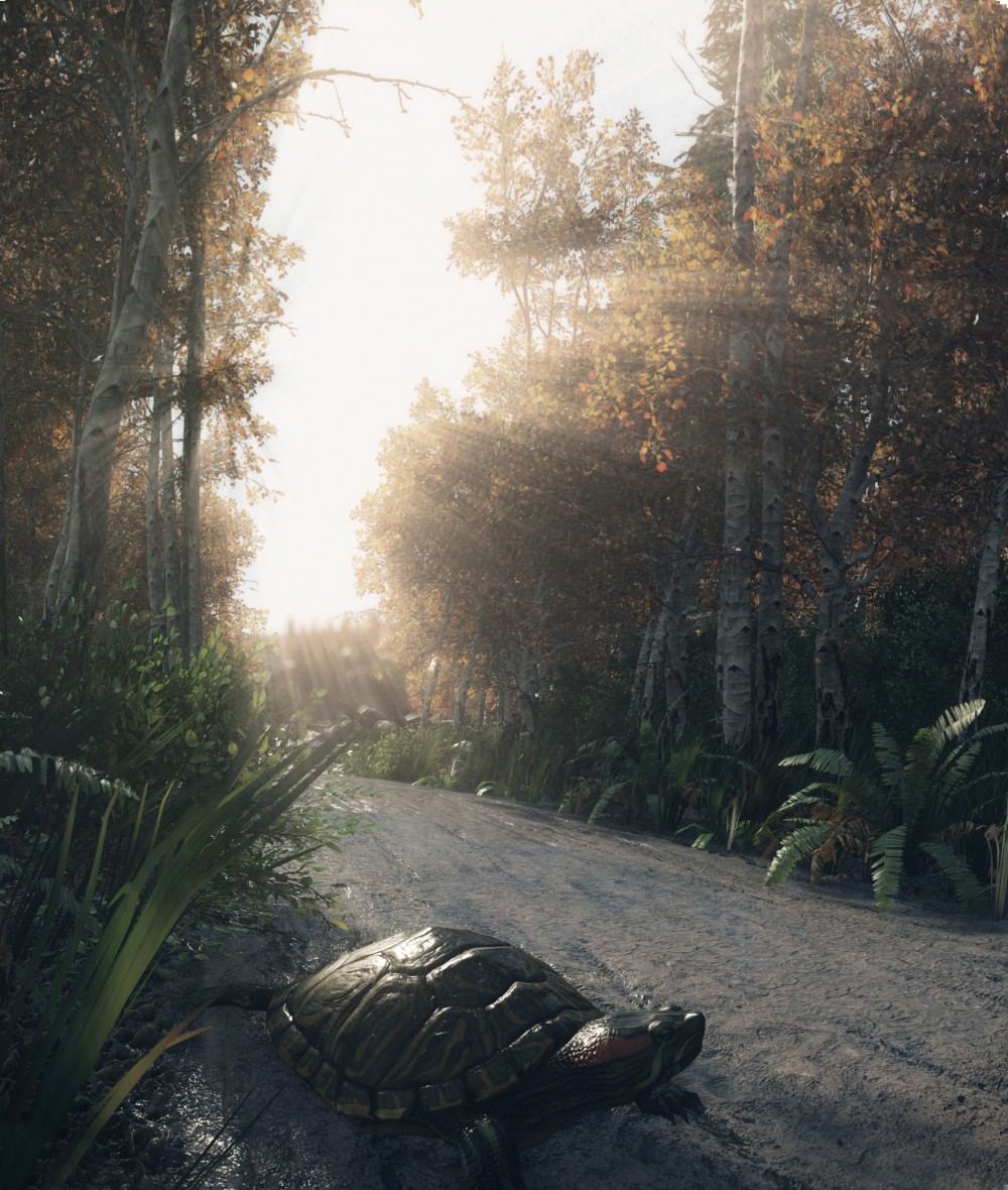 The Lost Valley