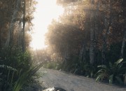 The Lost Valley