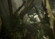 Ryse: Son of Rome