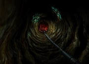 Prey