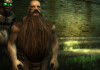 The Witcher