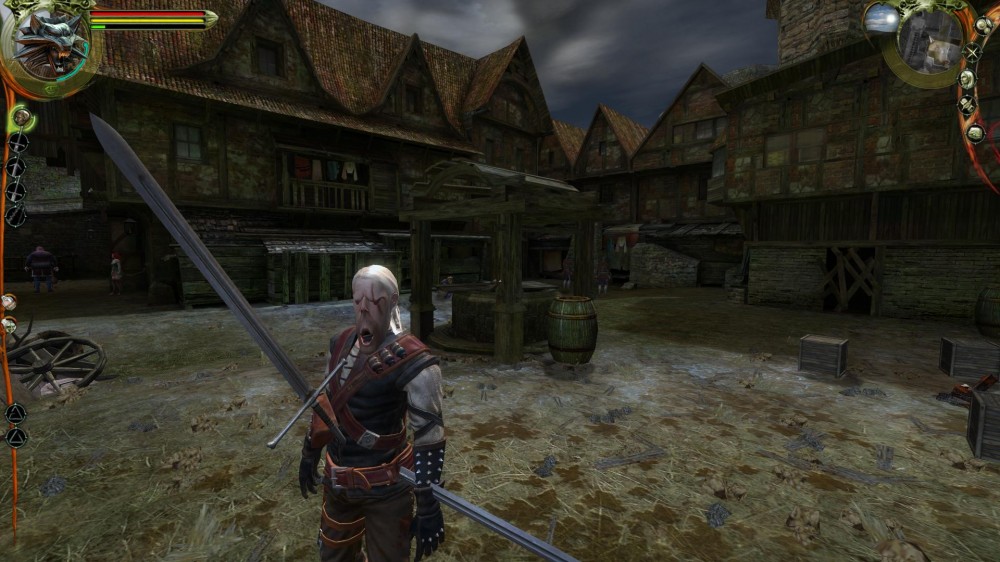 The Witcher