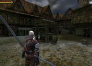 The Witcher screenshot