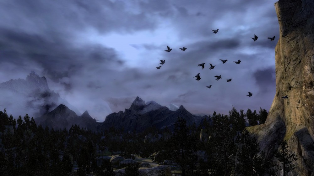 The Witcher