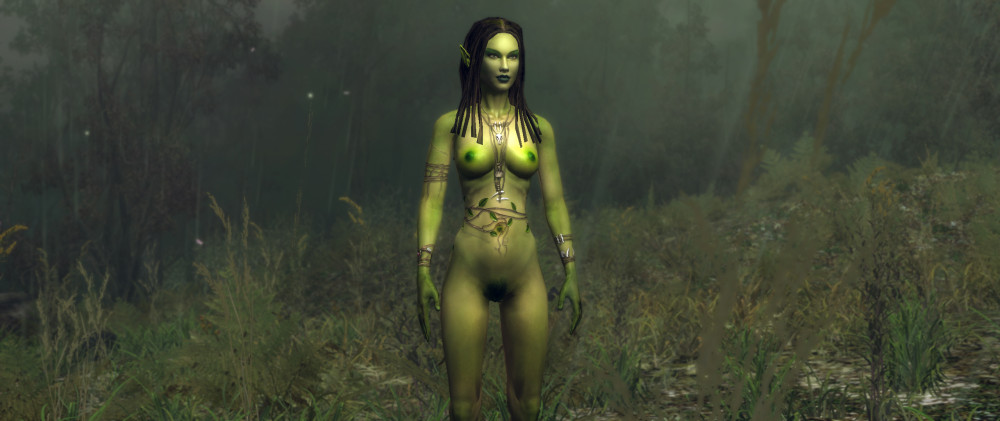The Witcher